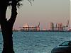 Some Pictures from Miami Beach-dscn3070.jpg