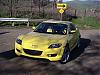 Double Yellow-p00sunriseshot.jpg