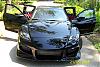 Calling All Brilliant Blacks-black-mamba-018.jpg