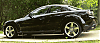 Calling all Black Cherry Shinkas-p1010437a.png