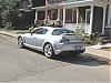 Calling all Sunlight Silvers-mine2.jpg