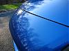 Calling all Winning Blues-img_0423.jpg