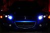 Calling all Winning Blues-03.jpg