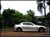 Calling all Sunlight Silvers-2.jpg