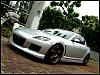 Calling all Sunlight Silvers-5.jpg