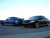 the whip-dsc01728.jpg