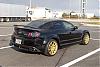 Calling All Brilliant Blacks-crw_3639.jpg