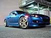 the whip-dsc01829.jpg