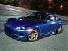 the whip-dsc01831.jpg