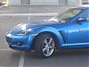 Calling all Winning Blues-cimg0174.jpg