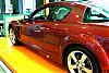 Calling All Copper Red Shinkas !!-dscf0002.jpg