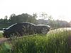 My Black RX-8-dscn0677.jpg