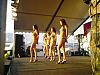 Taking the Checkered at the Grand Prix of Houston-sspx-2006-5f-363-.jpg