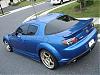 the whip-dsc01945.jpg