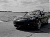 Calling all Black Cherry Shinkas-rx8bkw-vi.jpg