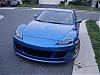 the whip-dsc01960.jpg