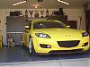 Calling all Lightning Yellows-dsc05391.jpg
