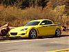 Calling all Lightning Yellows-photoshoot.jpg