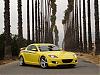 Calling all Lightning Yellows-photoshoot-2-.jpg