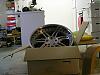 Grey shiNks-wheel.jpg
