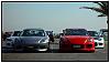 Grey shiNks-1.jpg