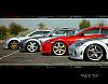 Grey shiNks-2.jpg