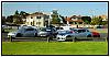 Grey shiNks-3.jpg