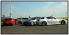 Grey shiNks-4.jpg