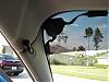 Winning Blue Mazdaspeed Kit and Full Radio Replacement-dsc02948.jpg