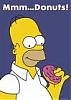 Calling all Burnouts / Donuts-mmm..donuts.jpg