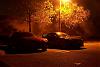 Go out and take some pictures!  Fall is beautiful!-000_0121.jpg