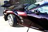 Calling all Black Cherry Shinkas-shinka-front-clear.jpg