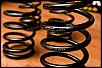 Looking for Tein S-tech or Eibach springs-dsa_4199_s.jpg