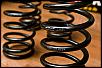 Eibach Springs and anti sway bars (front/rear)-dsa_4199.jpg