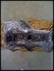 fs brand new greddy manifold-manifold3.jpg