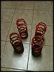 Tokico Adjuster Cables and Tanabe GF210 Lowering Springs-picture-002.jpg