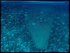 rear passenger door-img_20111101_141045.jpg