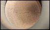 Catalytic Converter-imag1266.jpg