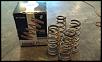 Tein H-Tech Springs-imag0472.jpg