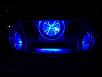Subwoofer Enclosures-subs.jpg