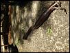 Megan midpipe and used starter upgraded-midpipe2.jpg