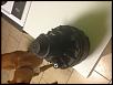 Secondary Air Injection Pump-photo-1-10-.jpg