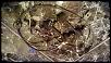 Parting out '04 sport model-wp_20140618_010.jpg