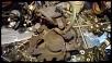 Parting out '04 sport model-wp_20140627_001.jpg