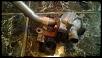 Parting out '04 sport model-wp_20140713_002.jpg