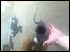 AP mid pipe-img_0477.jpg