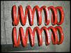 Mazdaspeed (Eibach) Coilover Springs-pc200003.jpg