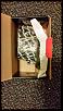 Racing beat rotors-yep-557.jpg