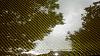 Seibon TSII Carbon Fiber hood-20140930_115154.jpg