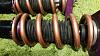 Re-amemiya quantum rs coilovers-20160705_011728_resized.jpg